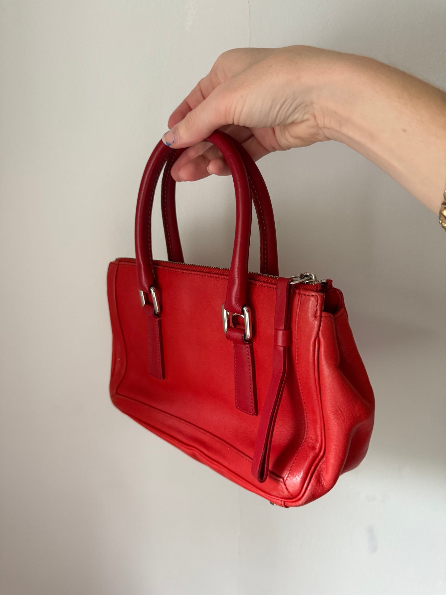 Cherry Tomato Coach Bag