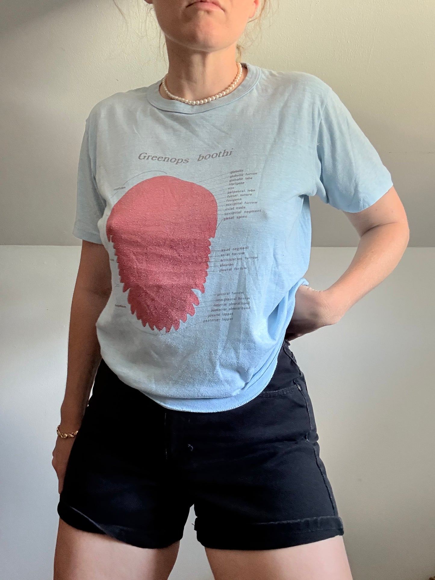1970s Fossil Blue Tee M/L Greenops Boothi