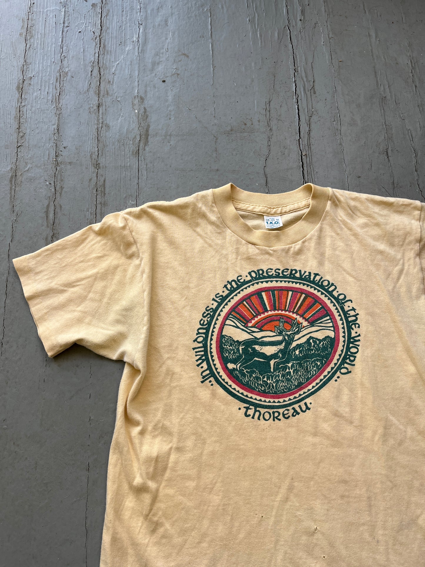 Vintage 1970s Thoreau T Shirt