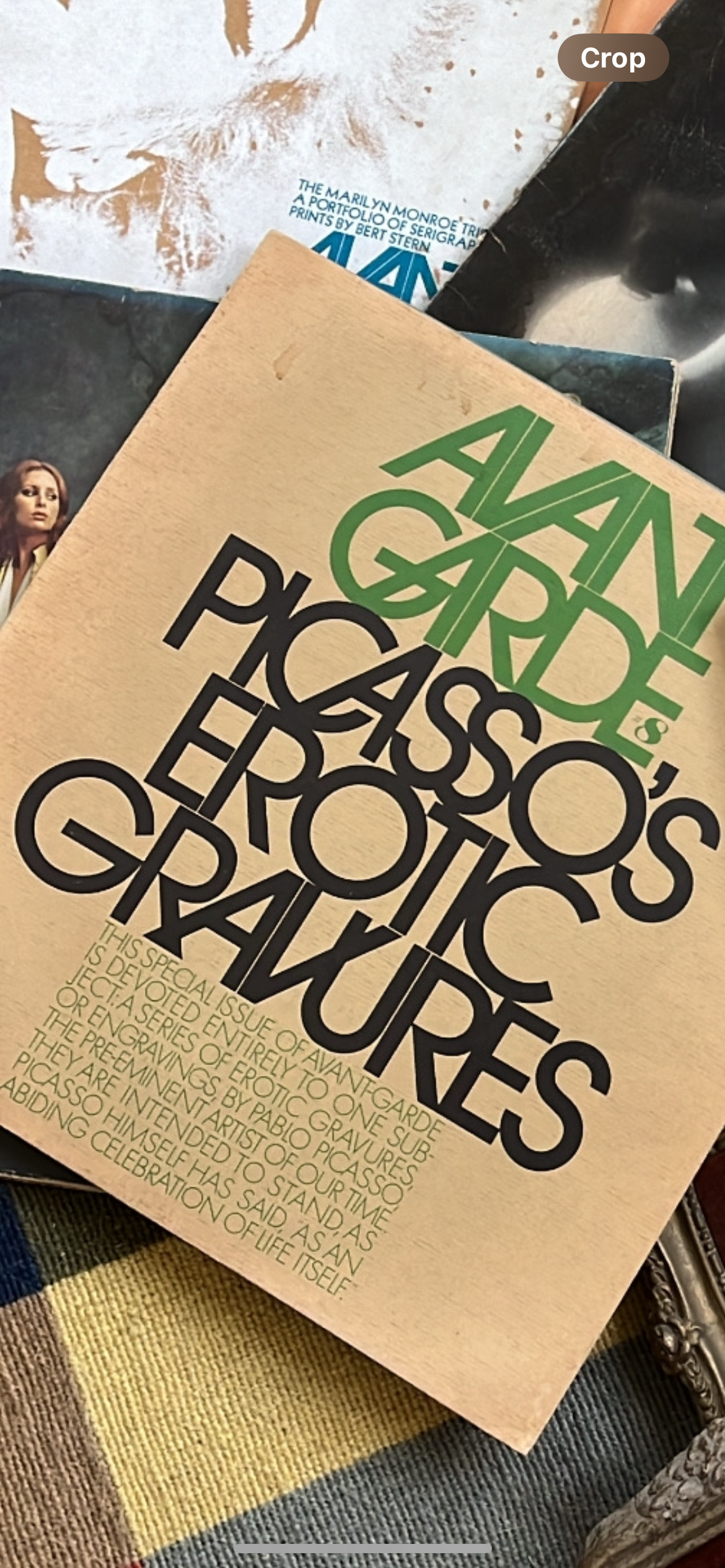 Picasso Avant Garde