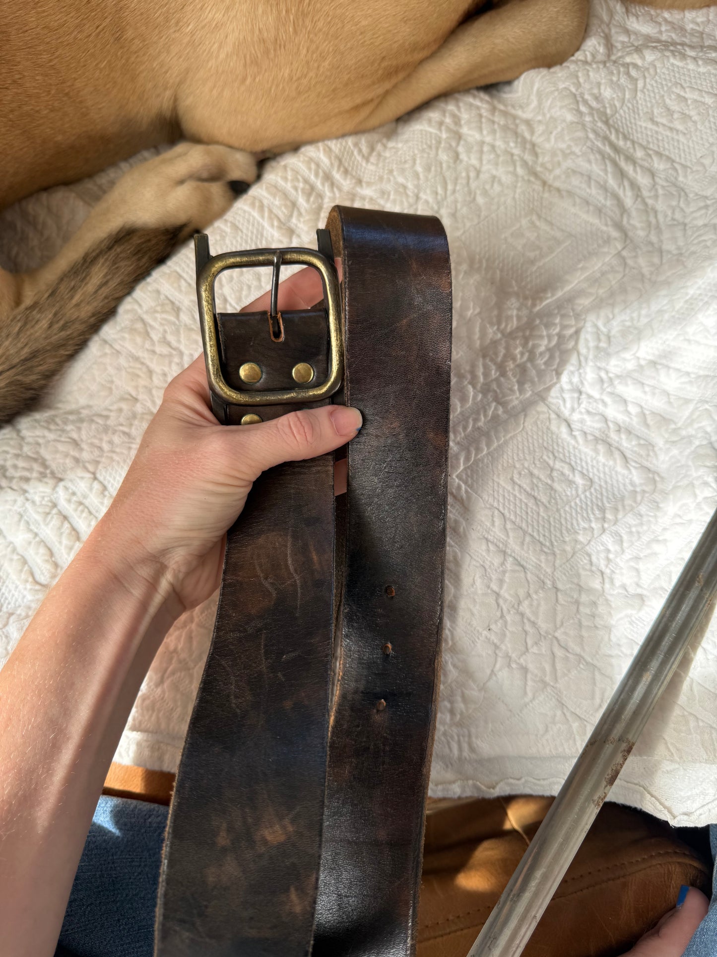 Brass Buckle & Brown Leather Belt