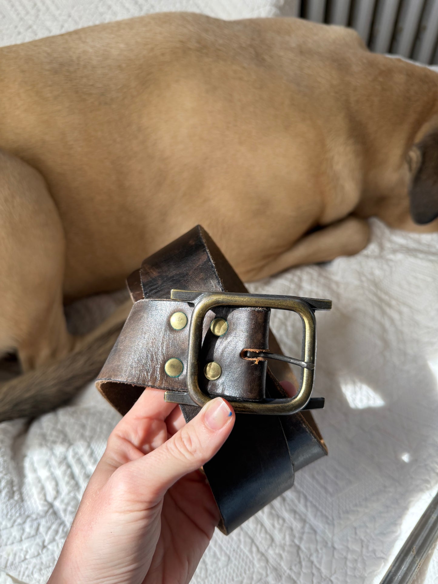 Brass Buckle & Brown Leather Belt