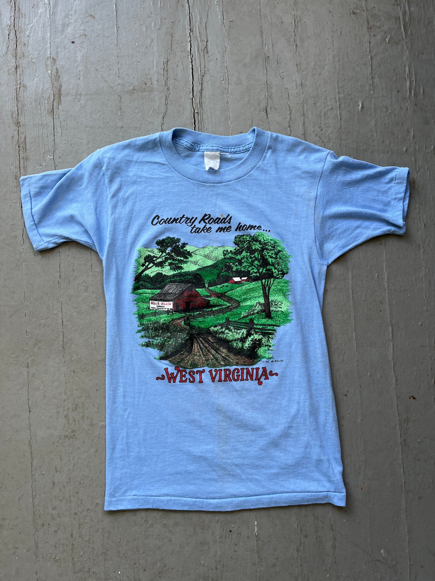 Vintage 1970s West Virginia Tee