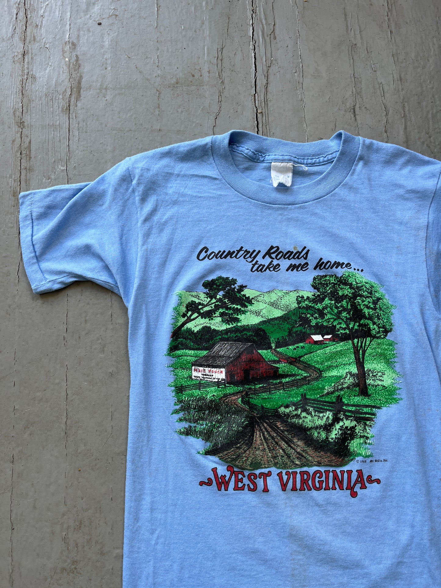 Vintage 1970s West Virginia Tee