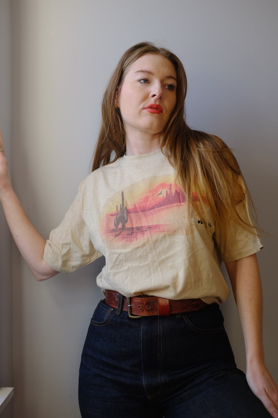 1980s Arizona Scenery Tan T Shirt M