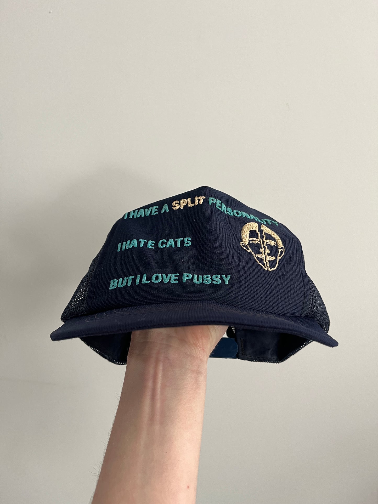 Vintage Hate Cats Love Pussy 1970s Snap Back