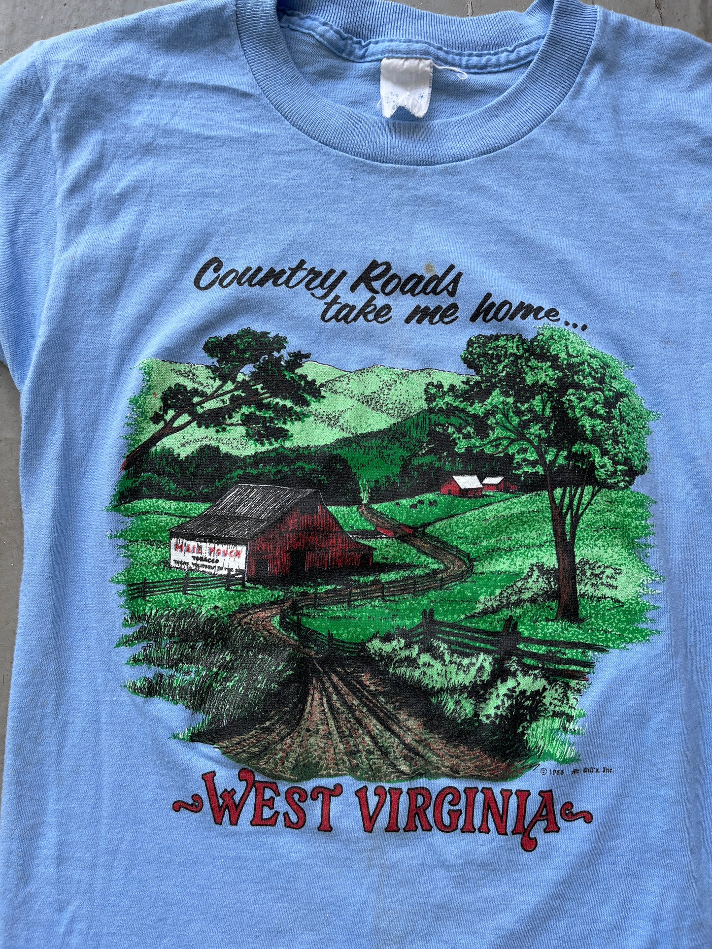 Vintage 1970s West Virginia Tee