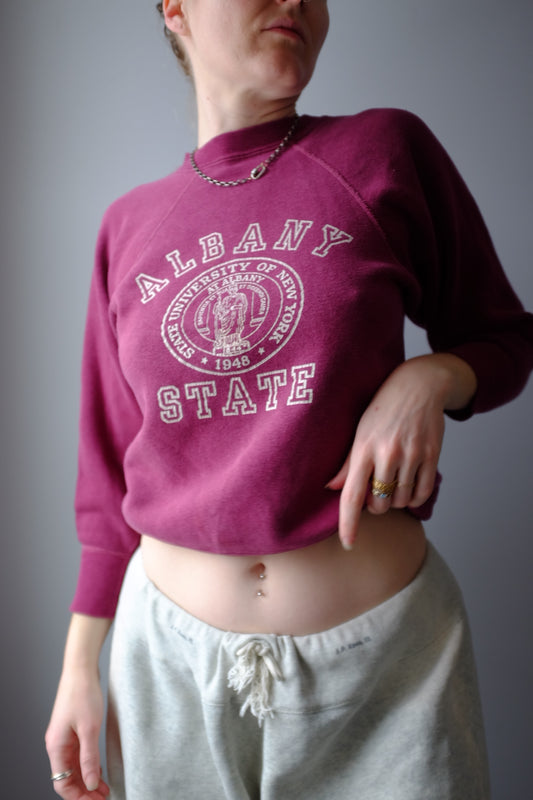 1970s Albany State Crew Neck S