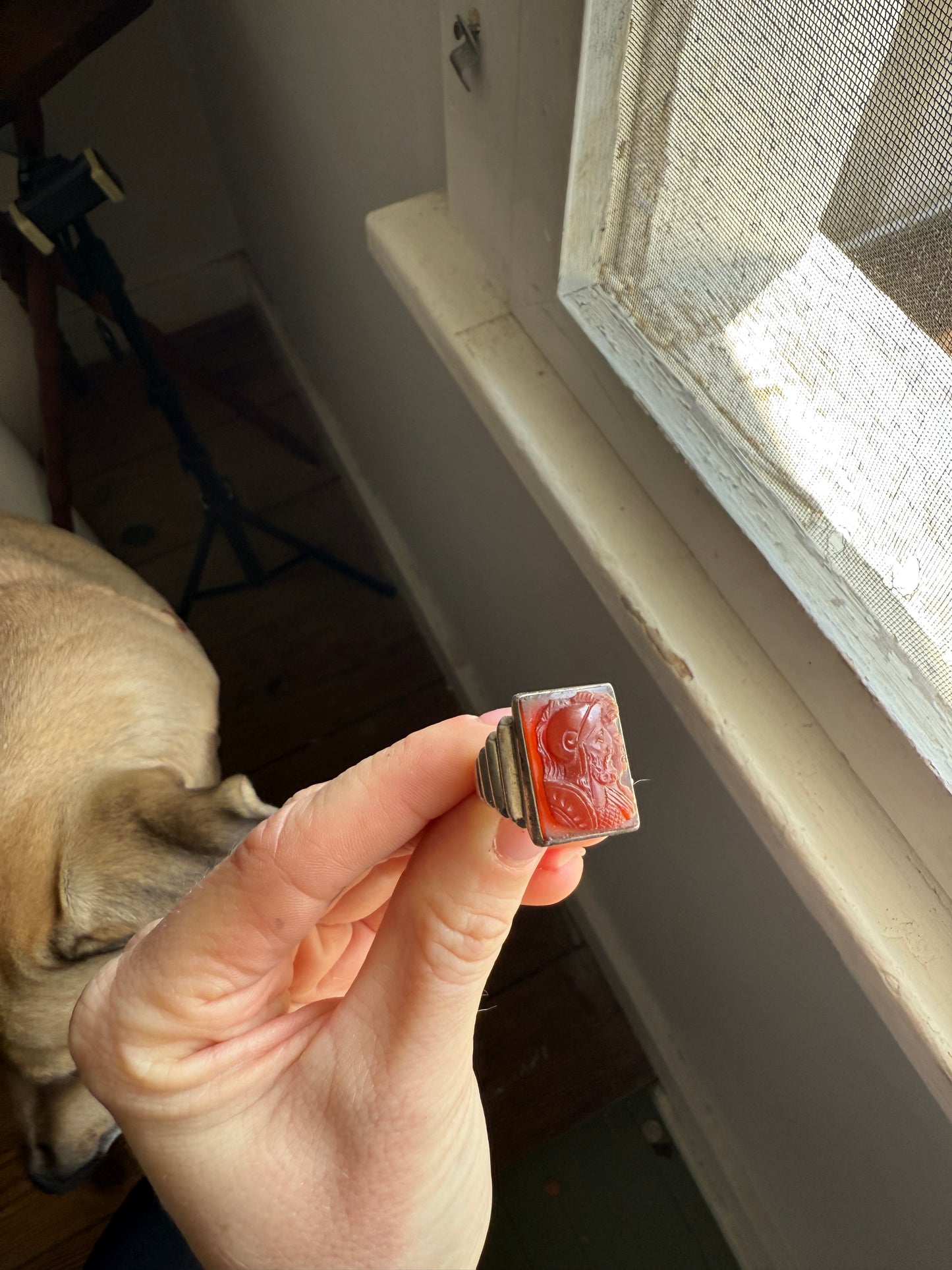 Carnelian Intaglio Ring