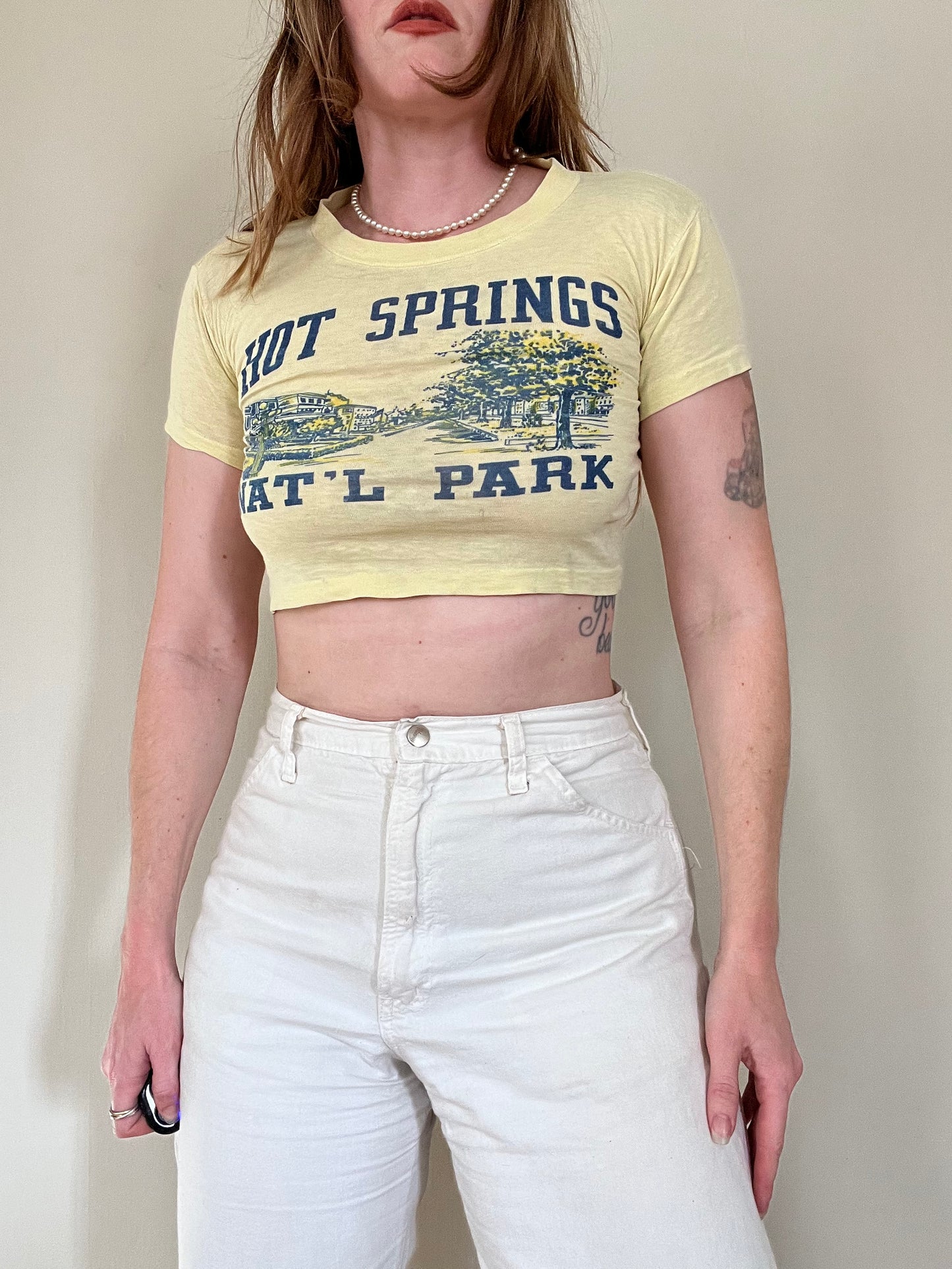 Vintage Hot Springs Tee