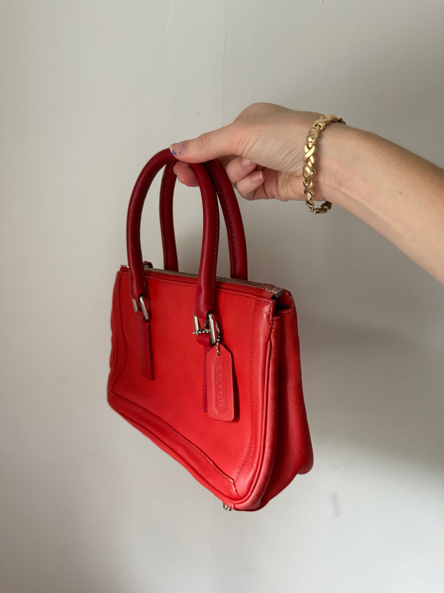 Cherry Tomato Coach Bag