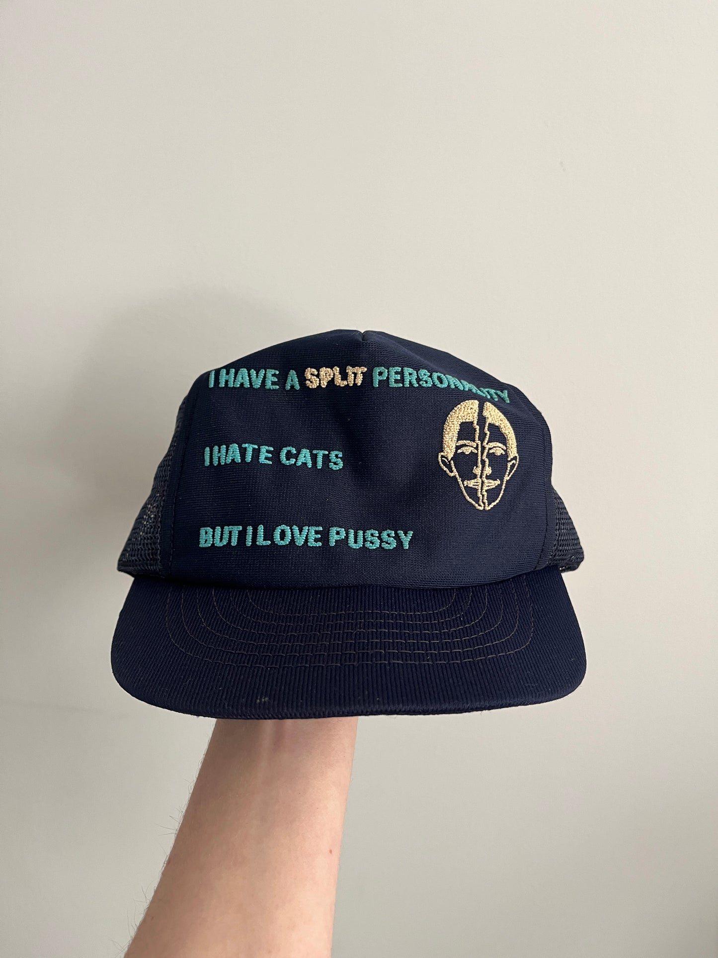 Vintage Hate Cats Love Pussy 1970s Snap Back