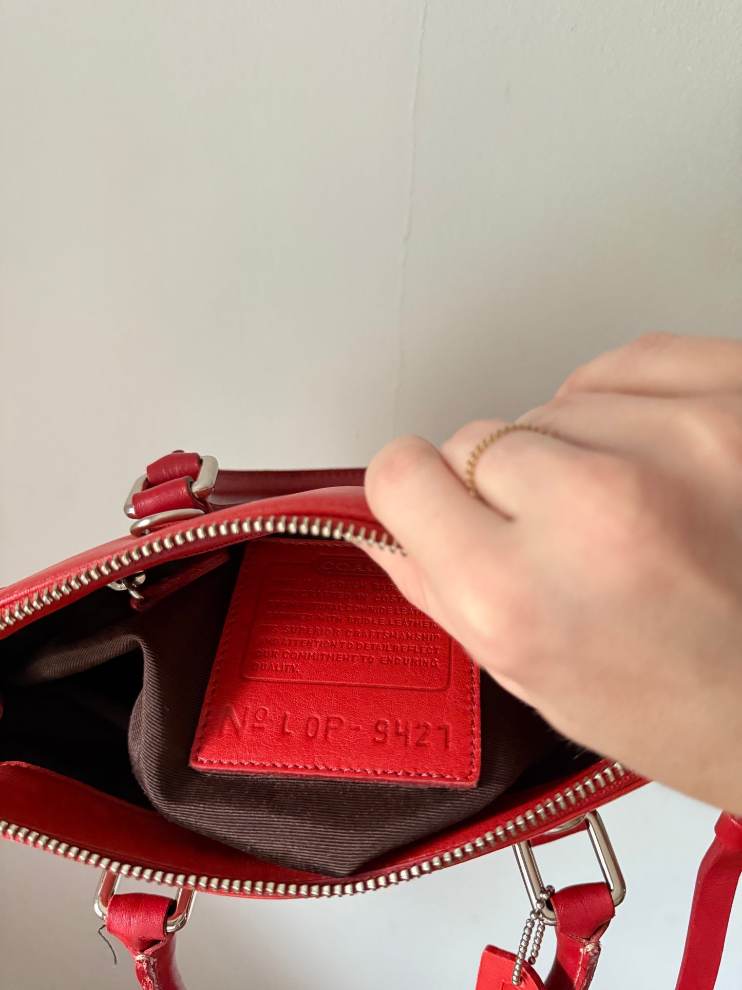 Cherry Tomato Coach Bag