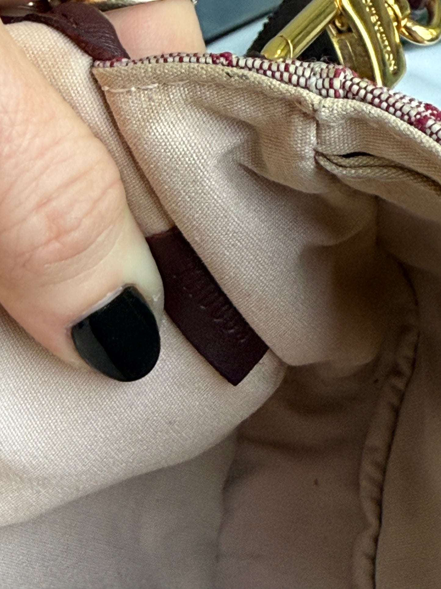 Louis Vuitton Mini Lin Marjorie Bag
