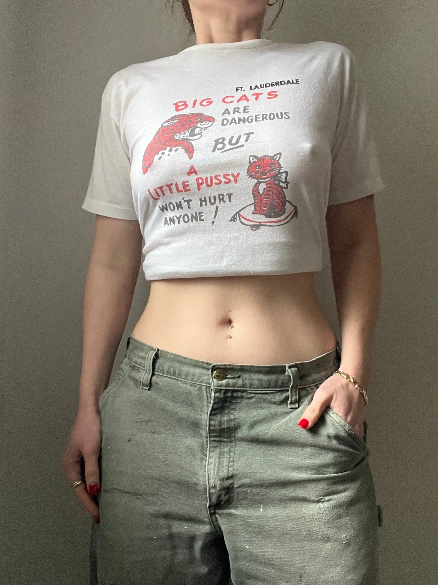 Vintage Big Cats Are Dangerous Tee