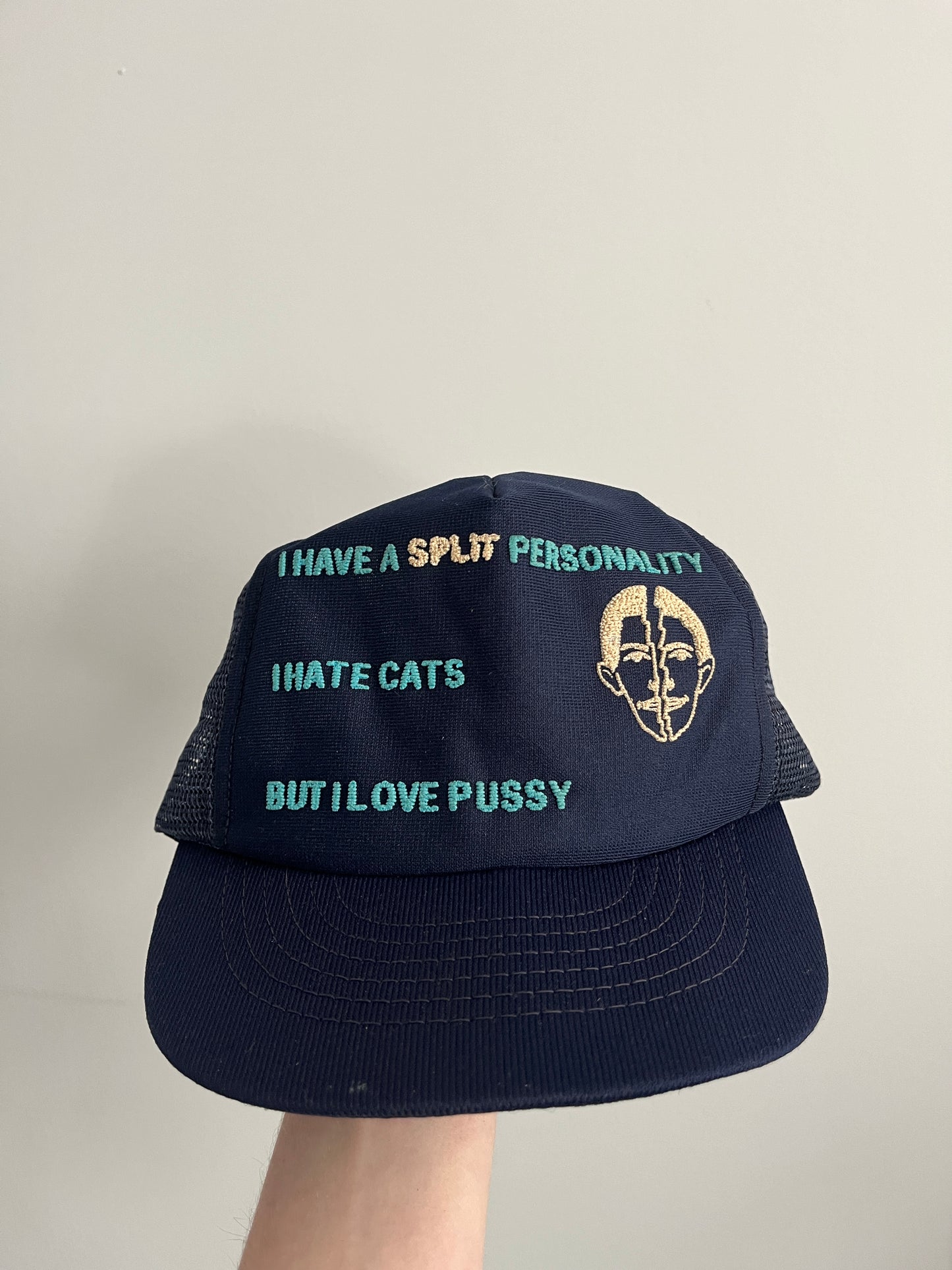 Vintage Hate Cats Love Pussy 1970s Snap Back