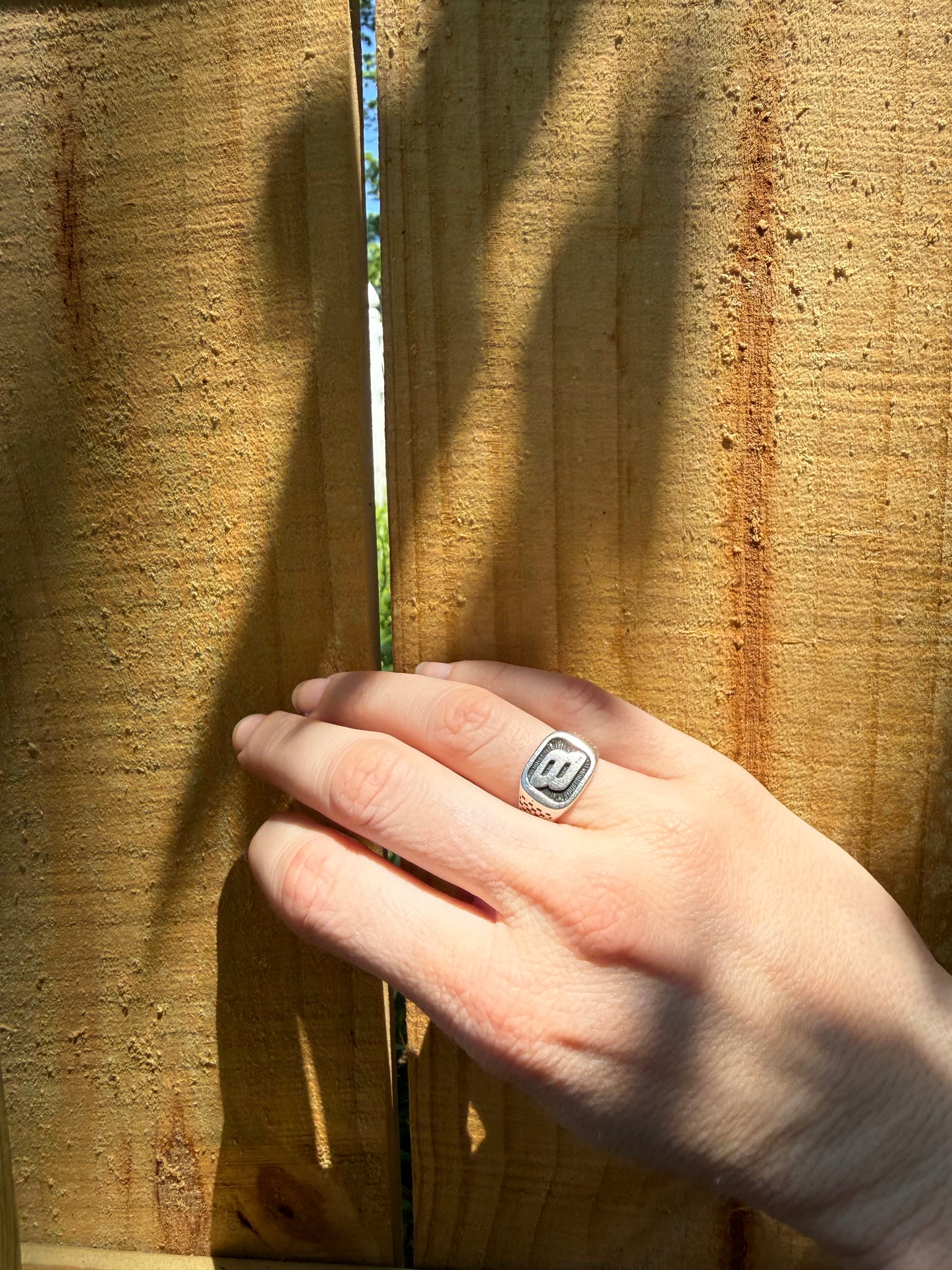 Dale Jr Ring