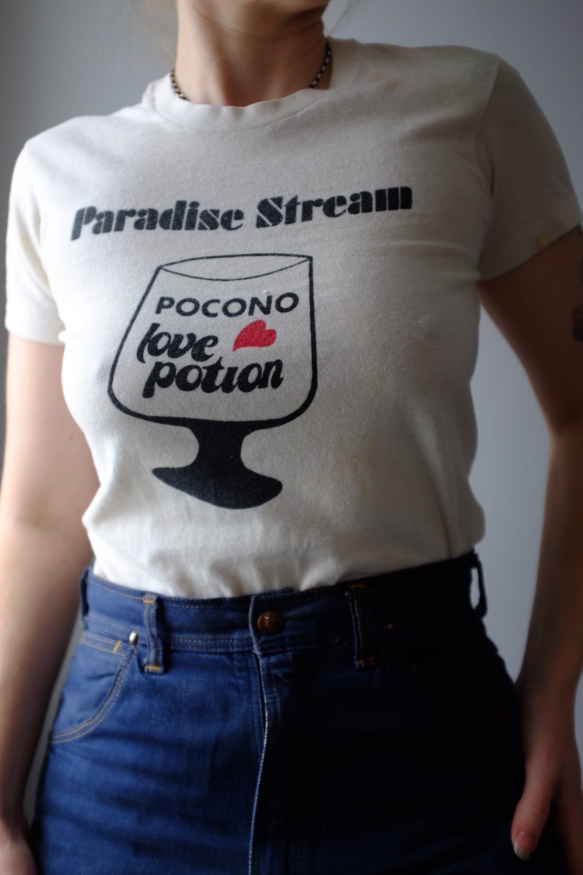 1970s Paradise Stream Pocono Resort S